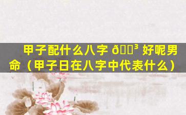 甲子配什么八字 🌳 好呢男命（甲子日在八字中代表什么）